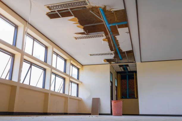 Best Flooded house restoration  in Harrisonburg, VA
