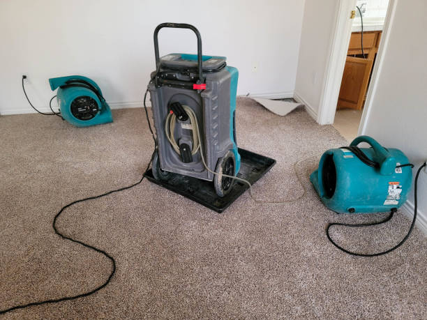 Fire Damage Restoration in Harrisonburg, VA