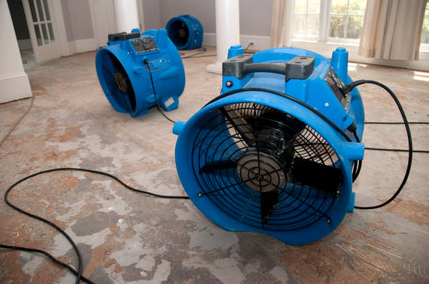 Reliable Harrisonburg, VA Water damage restoration Solutions