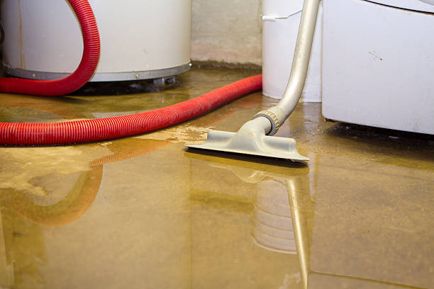 Professional Water damage restoration in Harrisonburg, VA