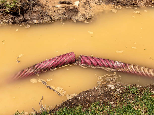 Best Water damage cleanup near me  in Harrisonburg, VA