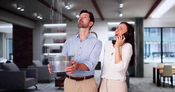 Best Water damage contractors near me  in Harrisonburg, VA