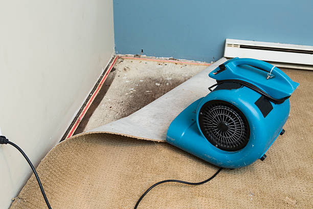24/7 water damage repair in Harrisonburg, VA