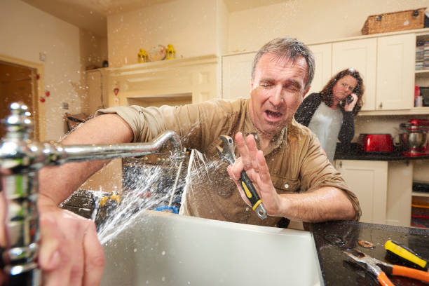 Best Water damage cleanup near me  in Harrisonburg, VA